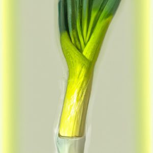 Temps de cuisson des légumes | Guide pratique